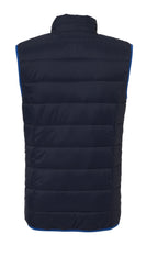 navy/azure blue